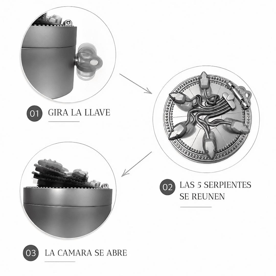 Caja secreta con anillo